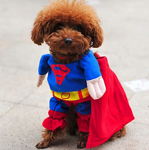 disfraz superman mascotas