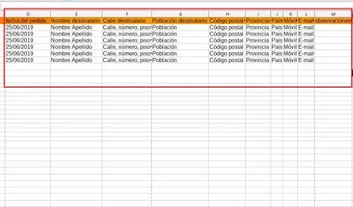 columnas datos cliente fichero csv dropshipping1 jpg webp