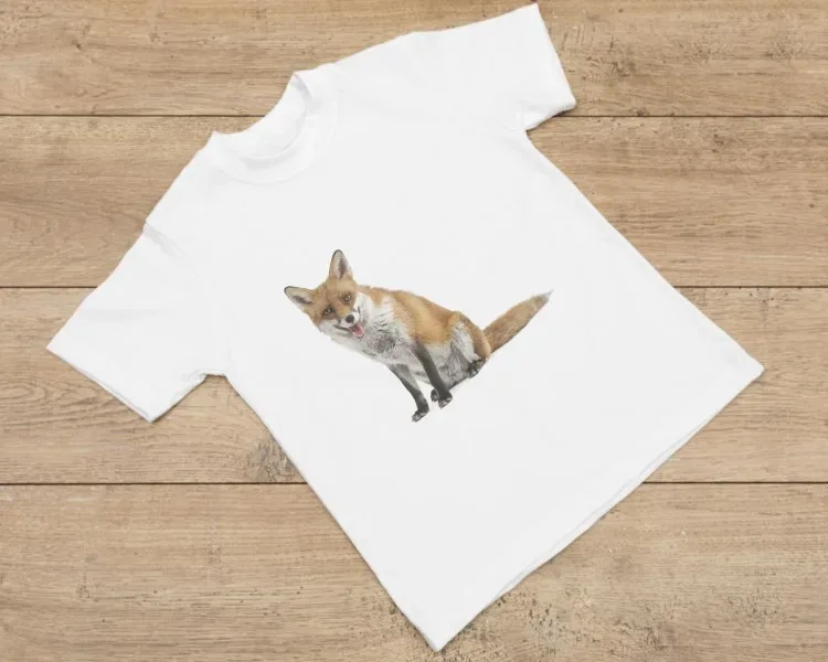 mockupejemplo 750X750 jpg webp