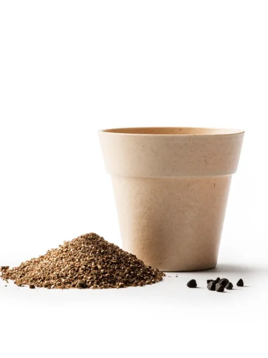 1000 29 3 2 Personalizado jpg