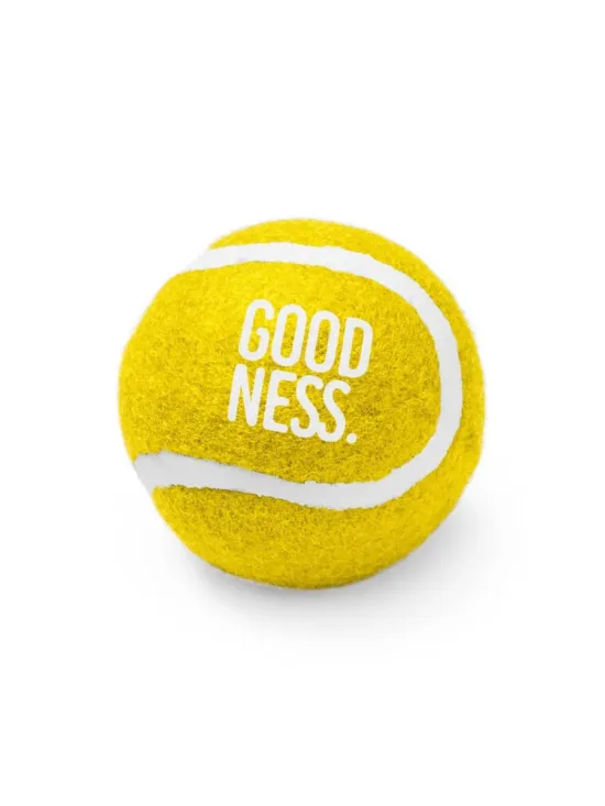 Pelota Para Mascotas Stamina Lanza 1020