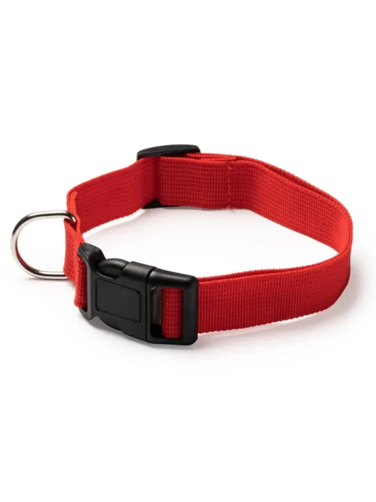 *OUTLET* Collar Para Mascotas Stamina Korat 1021