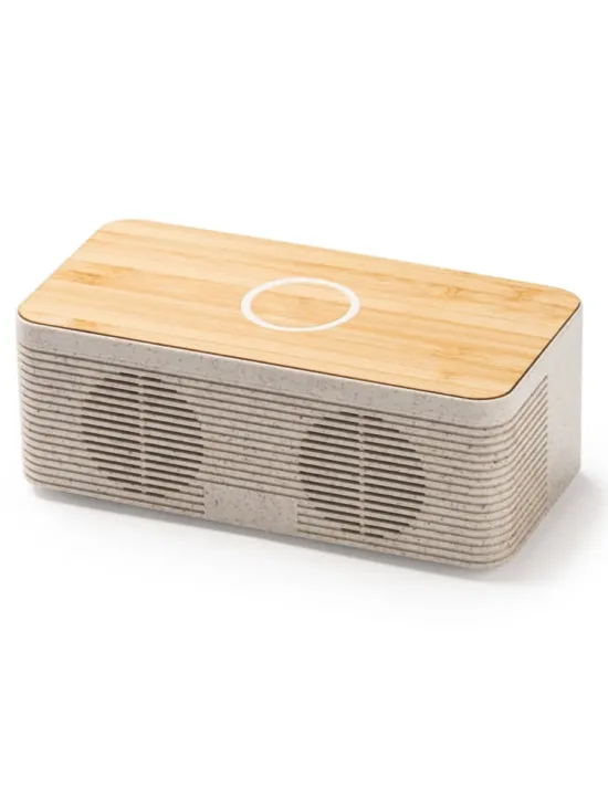 Altavoz Bluetooth con Cargador Inalámbrico Stamina Zatox 3308