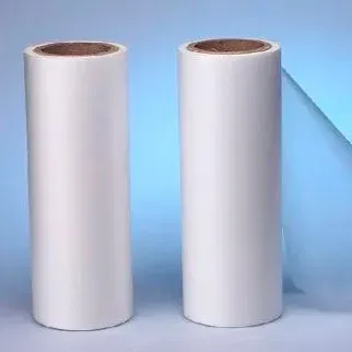 FILM DTF EVOLUTION jpg webp