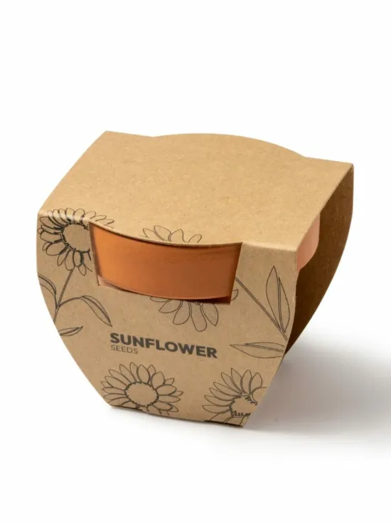 Maceta con Semillas de Girasol Stamina Girax 1036