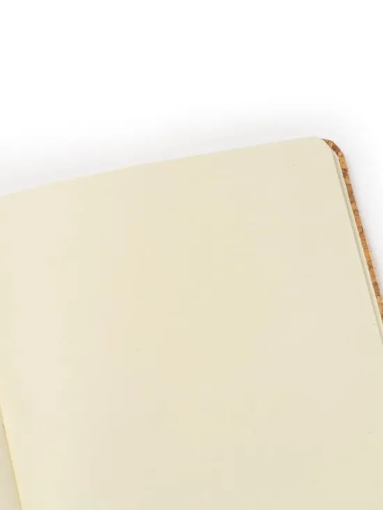 7988 29 3 2 Personalizado jpg