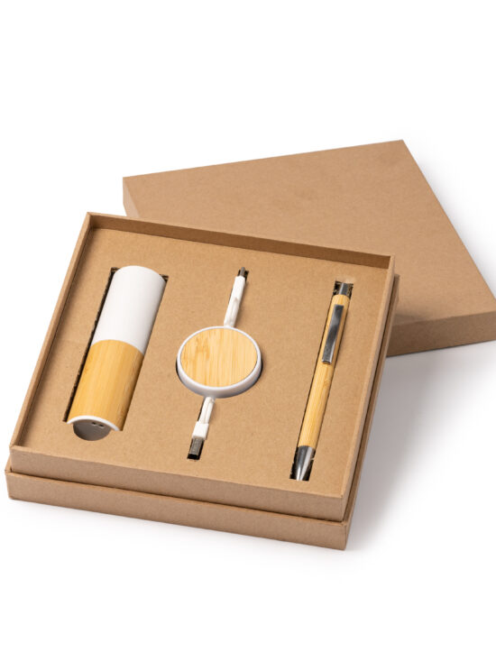 Set de Batería Externa, Cable Cargador y Bolígrafo Stamina Fargon 1503