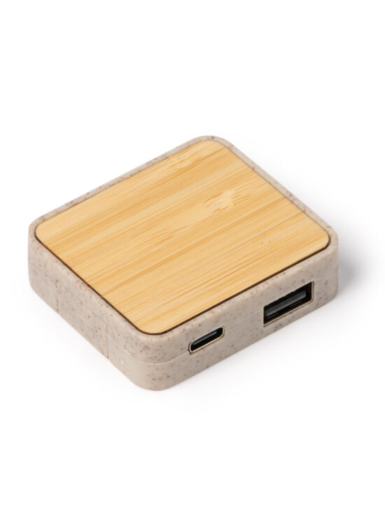 Puerto USB Stamina Cluni 1568