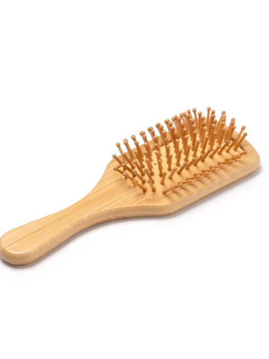 Peine Stamina Jener 1576